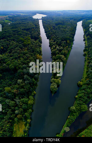 Holz an der Mündung des Lechs in die Donau, Deutschland, Bayern, Schwaben Stockfoto