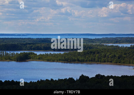 Blick vom Turm Kaeflingsbergturm zu Müritz Nationalpark, Deutschland, Mecklenburg-Vorpommern, Müritz Nationalpark Stockfoto