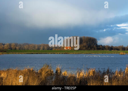 Beneden Spieringpolder, Niederlande, Drenthe Stockfoto