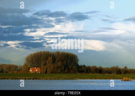 Beneden Spieringpolder, Niederlande, Drenthe Stockfoto