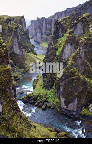 Canyon Fjathrargljufur, Island, Kirkjubaejarklaustur Stockfoto