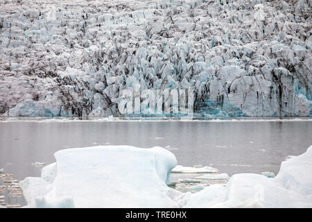 Eisberg Fjallsarlon, Gletscher in die Lagune, Island kalben, Nationalpark Vatnajoekull Stockfoto