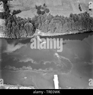 Swimming Tank im Main, historischen Luftbild, 04.09.1964, Deutschland Stockfoto