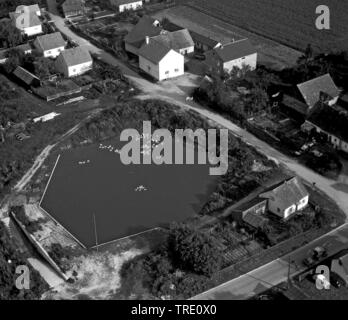 Hausgans (Anser anser f. domestica), Gänse auf einem Dorf Teich, historische Luftaufnahme, 20.09.66, Deutschland, Bayern Stockfoto