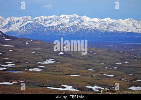Landschaft im Denali National Park, USA, Alaska, Denali Nationalpark Stockfoto