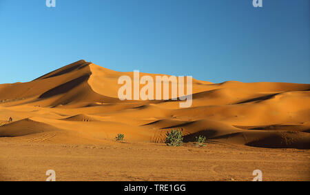 Erg Chebbi, Sanddünen im Abendlicht, Marokko, Fes Stockfoto