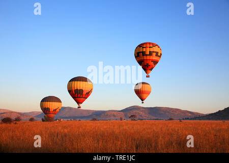 Heißluftballonfahrt über Pilanesberg Game Reserve, Südafrika, North West Provinz, Pilanesberg National Park Stockfoto