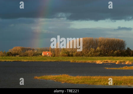 Rainbow an Spieringpolder, Niederlande, Nordbrabant, Brabantse Biesbosch Werkendam Stockfoto