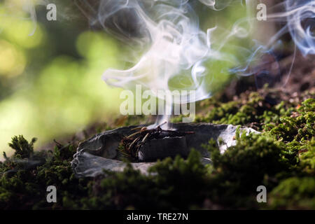 Rauchen; Rauchen mit Wacholder, Baum Gummi- und rauchend Kohle, Deutschland Stockfoto