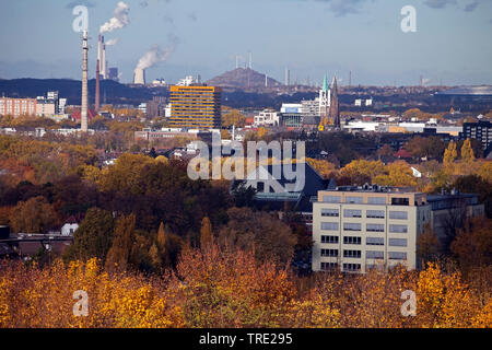 Blick über die Stadt Gelsenkirchen im Herbst, Deutschland, Nordrhein-Westfalen, Ruhrgebiet, Gelsenkirchen Stockfoto