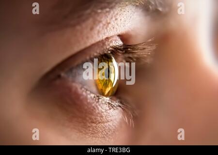 Honigfarbenen Augen Iris, Bundesrepublik Deutschland Stockfoto