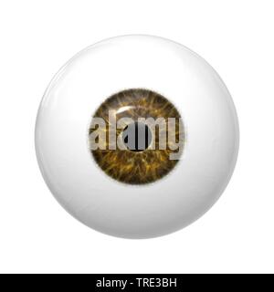 Menschen, Menschen, Menschen (Homo sapiens sapiens), brown eye Ball mit Freistellungspfad, Bundesrepublik Deutschland Stockfoto