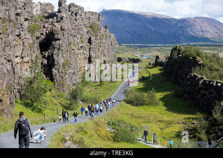 Almannagja, Rift Valley zwischen der Eurasischen und der Amerikanischen Platten, Island, den Nationalpark Thingvellir Stockfoto