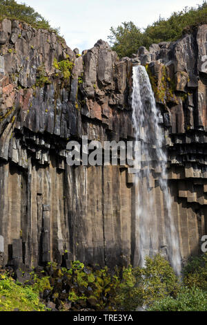 Wasserfall Svartifoss, Island, Nationalpark Skaftafell Stockfoto