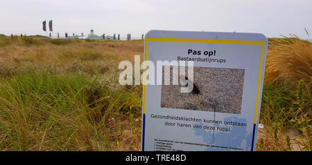 Brown-tail Motte, Braun - Schwanz (Euproctis chrysorrhoea), Warnung von brown-tail Raupen, die dazu führen können Juckreiz und Atemnot, Niederlande, Südholland, Nordwijk Stockfoto