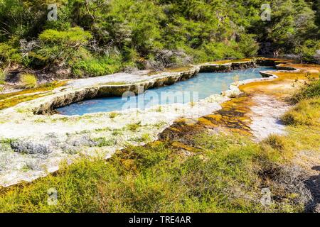 Blick auf einen See vulkanischen Ursprungs in Waimangu Volcanic Rift Valley in Neuseeland, Neuseeland, Waimangu Stockfoto