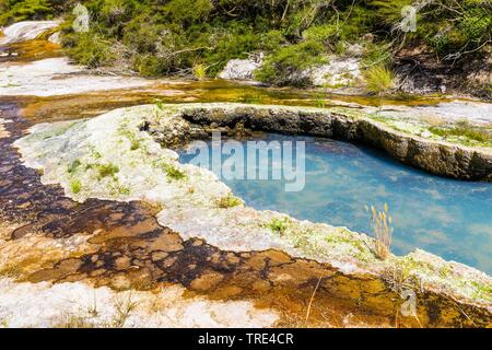 Blick auf einen See vulkanischen Ursprungs in Waimangu Volcanic Rift Valley in Neuseeland, Neuseeland, Nordinsel, Waimangu Stockfoto