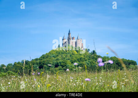 Burg Hohenzollern in der Nähe von Bisingen im Zustand von Baden-Wuerttenberg, Deutschland, Deutschland, Baden-Wuerttemberg, Bisingen Stockfoto