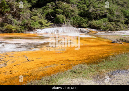 Anzeigen einer vulkanischen Landschaft in Waimangu Volcanic Rift Valley in Neuseeland, Neuseeland, Nordinsel, Waimangu Stockfoto