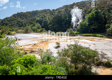 Vulkanische Landschaft in Waimangu Volcanic Rift Valley, Neuseeland Waimangu Stockfoto