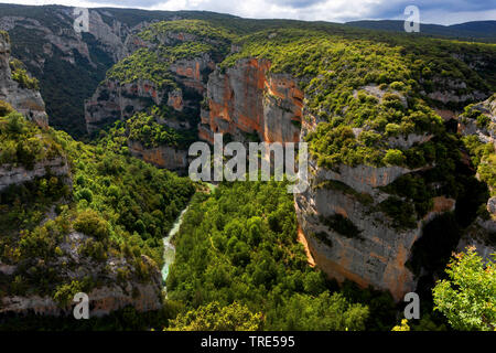 Tal y Canones in der Sierra de Guara, Spanien, Aragon, Sierra y Canones de Guara Stockfoto