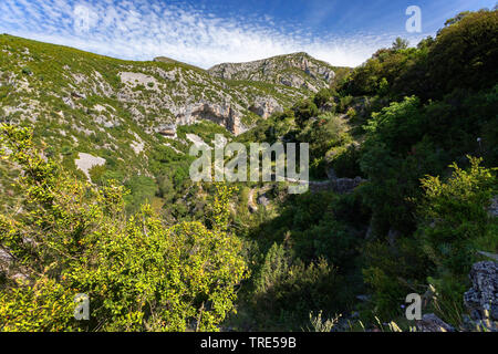 Canyon y Canones in der Sierra de Guara, Spanien, Aragon, Sierra y Canones de Guara Stockfoto