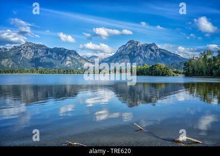 Forggensee, Ammergauer Alpen im Hintergrund, Deutschland, Bayern Stockfoto