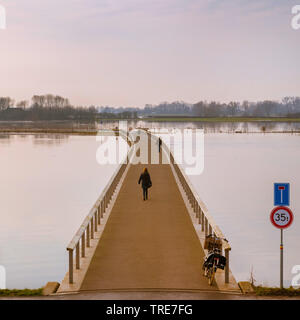 Brücke in die überfluteten Fluss IJssel, Niederlande, Overijssel, Vreugderijkerwaard, Zwolle Stockfoto