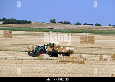 Geernteten Getreide Feld - Sammeln der Strohballen, Deutschland, Nordrhein-Westfalen, Mechernich-Berg Stockfoto