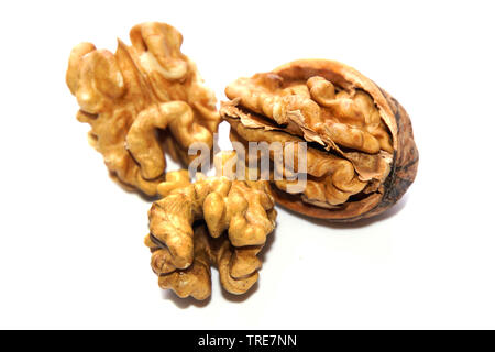 Walnuss (Juglans regia), Walnüsse, geschält Stockfoto