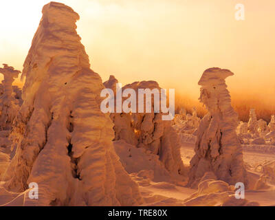 Schneebedeckte Bäume bei Sonnenuntergang, Deutschland, Sachsen, Erzgebirge Stockfoto