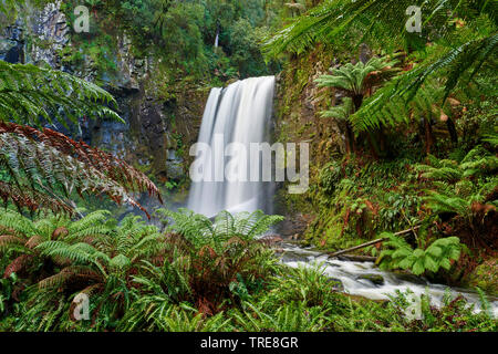 Hopetoun fällt im Regenwald des Great Otway National Park im Frühling, Australien, Victoria, Great Otway National Park Stockfoto