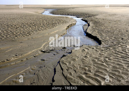 Westerschelde, Niederlande, Zeeland Stockfoto