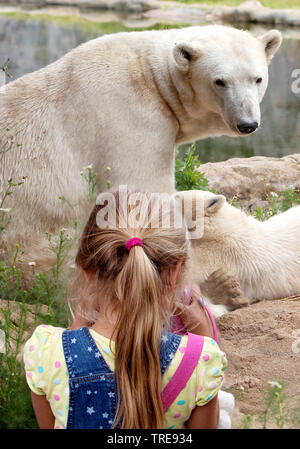 Eisbär (Ursus maritimus), Mädchen an einer bearess mit Cub in einem Zoo suchen Stockfoto