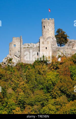 Ruine Neu-Falkenstein, neue Falkenstein, Schweiz, Solothurn, Balsthal Stockfoto