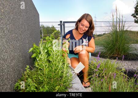 Frau mittleren Alters in ihrem Stein garten arbeiten Stockfoto