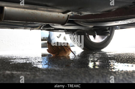 Eurasische Waldschnepfe (Scolopax rusticola), Tierheim, der sich unter einem Auto, Niederlande Stockfoto