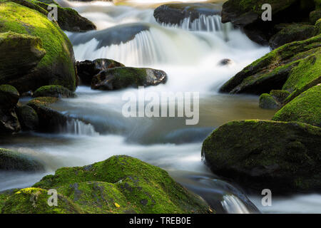 Wald Creek im Böhmerwald, Tschechien Stockfoto