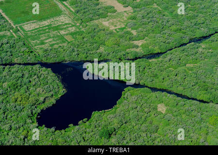 Luftaufnahme von Sumpfland und der Treene und Sorge River Plain, Deutschland, Schleswig-Holstein Friesland Stockfoto