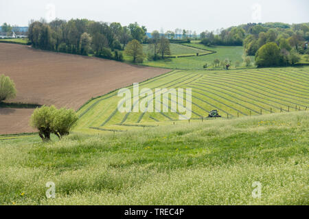 Landwirtschaftliche Landschaft in Mechelen, Niederlande Stockfoto