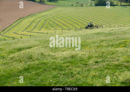 Landwirtschaftliche Landschaft in Mechelen, Niederlande Stockfoto