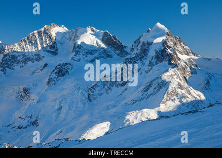 Mit Biancograt Piz Bernina, Piz Scerscen-4049 m - 3971 m, Piz Roseg-3937 m, Schweiz, Graubünden, Oberengadin Stockfoto