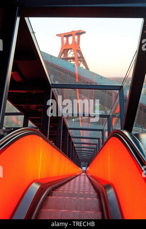Beleuchtete Gangway von Zollverein Schacht XII, Deutschland, Nordrhein-Westfalen, Ruhrgebiet, Essen Stockfoto