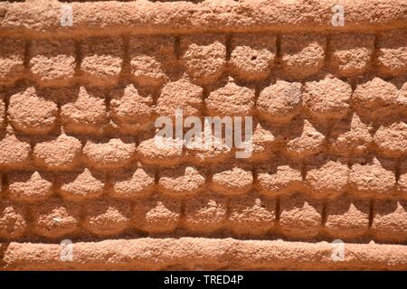 Geschnitzte texturierte Sandstein Stockfoto