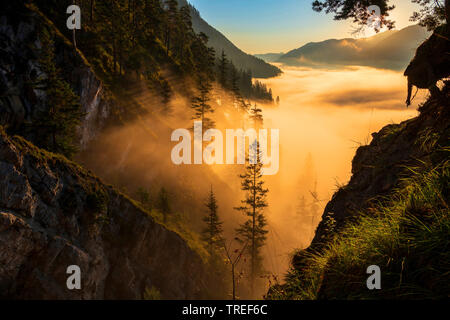 Isartal in Nebel bei Sonnenaufgang, Deutschland, Bayern Stockfoto