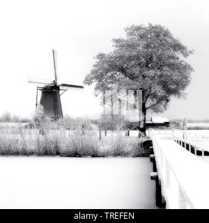 Die Mühle von Kinderdijk im Winter, Niederlande, Kinderdijk Stockfoto