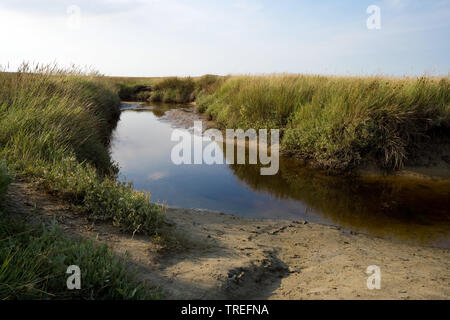 Marsh Lake De Slufter mit Tide weg, Niederlande, Texel, De Slufter, De Slufter Stockfoto