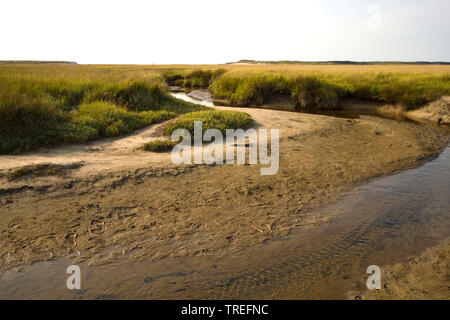 Marsh Lake De Slufter mit Tide weg, Niederlande, Texel, De Slufter, De Slufter Stockfoto