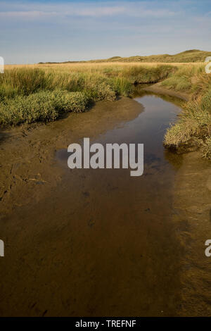 Marsh Lake De Slufter mit Tide weg, Niederlande, Texel, De Slufter, De Slufter Stockfoto