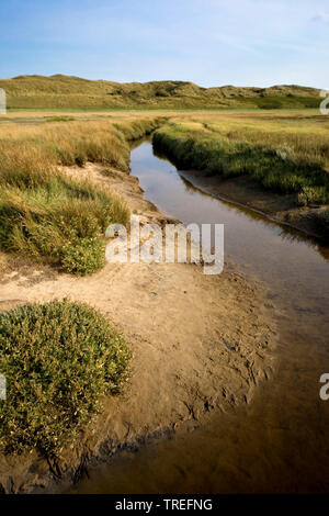 Marsh Lake De Slufter mit Tide weg, Niederlande, Texel, De Slufter, De Slufter Stockfoto